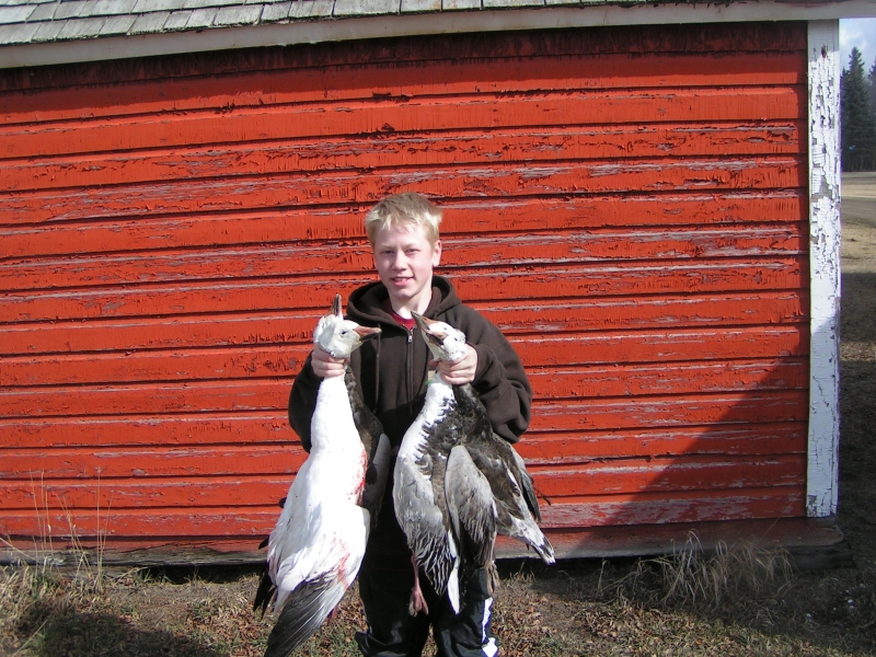 Saskatchewan Goose Hunting